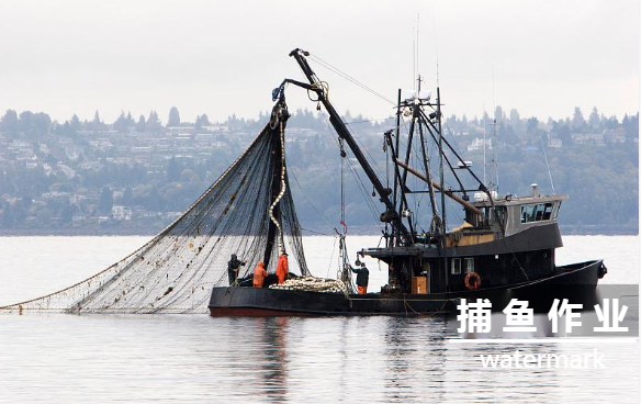 捕魚(yú)作業(yè)